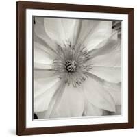 Florison 32-Alan Blaustein-Framed Photographic Print