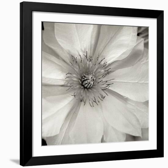 Florison 32-Alan Blaustein-Framed Photographic Print