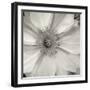 Florison 32-Alan Blaustein-Framed Photographic Print