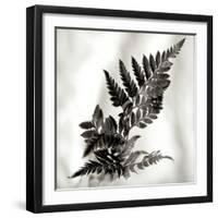 Florison 41-Alan Blaustein-Framed Photographic Print