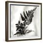 Florison 41-Alan Blaustein-Framed Photographic Print