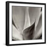 Florison 42-Alan Blaustein-Framed Photographic Print