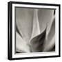 Florison 42-Alan Blaustein-Framed Photographic Print