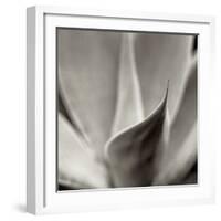 Florison 42-Alan Blaustein-Framed Photographic Print