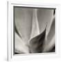 Florison 42-Alan Blaustein-Framed Photographic Print