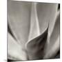 Florison 42-Alan Blaustein-Mounted Photographic Print