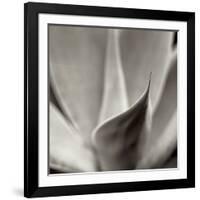 Florison 42-Alan Blaustein-Framed Photographic Print