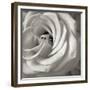 Florison 43-Alan Blaustein-Framed Photographic Print