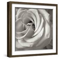 Florison 43-Alan Blaustein-Framed Photographic Print