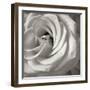 Florison 43-Alan Blaustein-Framed Photographic Print