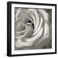 Florison 43-Alan Blaustein-Framed Photographic Print