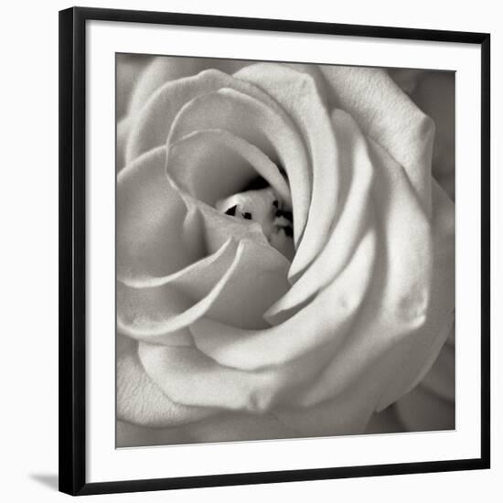 Florison 43-Alan Blaustein-Framed Photographic Print