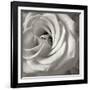 Florison 43-Alan Blaustein-Framed Photographic Print