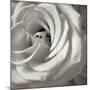 Florison 43-Alan Blaustein-Mounted Photographic Print