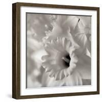 Florison 45-Alan Blaustein-Framed Photographic Print