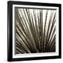 Florison 48-Alan Blaustein-Framed Photographic Print