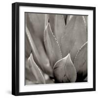 Florison 49-Alan Blaustein-Framed Photographic Print