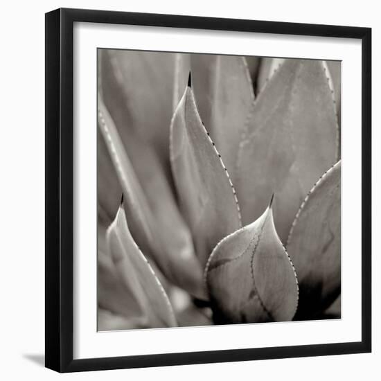 Florison 49-Alan Blaustein-Framed Photographic Print