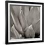 Florison 49-Alan Blaustein-Framed Photographic Print