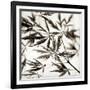 Florison 50-Alan Blaustein-Framed Photographic Print