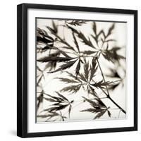 Florison 50-Alan Blaustein-Framed Photographic Print