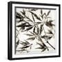 Florison 50-Alan Blaustein-Framed Photographic Print