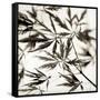 Florison 50-Alan Blaustein-Framed Stretched Canvas