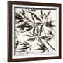 Florison 50-Alan Blaustein-Framed Premium Photographic Print