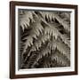 Florison 51-Alan Blaustein-Framed Photographic Print