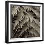 Florison 51-Alan Blaustein-Framed Photographic Print