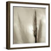 Florison 53-Alan Blaustein-Framed Photographic Print