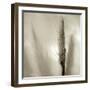 Florison 53-Alan Blaustein-Framed Photographic Print