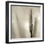 Florison 53-Alan Blaustein-Framed Photographic Print