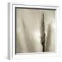 Florison 53-Alan Blaustein-Framed Photographic Print