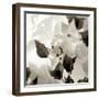 Florison 54-Alan Blaustein-Framed Photographic Print