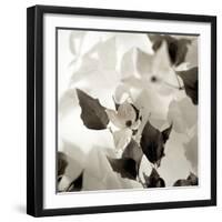 Florison 54-Alan Blaustein-Framed Photographic Print