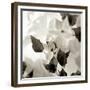 Florison 54-Alan Blaustein-Framed Photographic Print