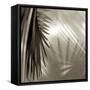 Florison 55-Alan Blaustein-Framed Stretched Canvas