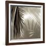 Florison 55-Alan Blaustein-Framed Photographic Print