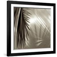 Florison 55-Alan Blaustein-Framed Photographic Print