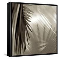 Florison 55-Alan Blaustein-Framed Stretched Canvas