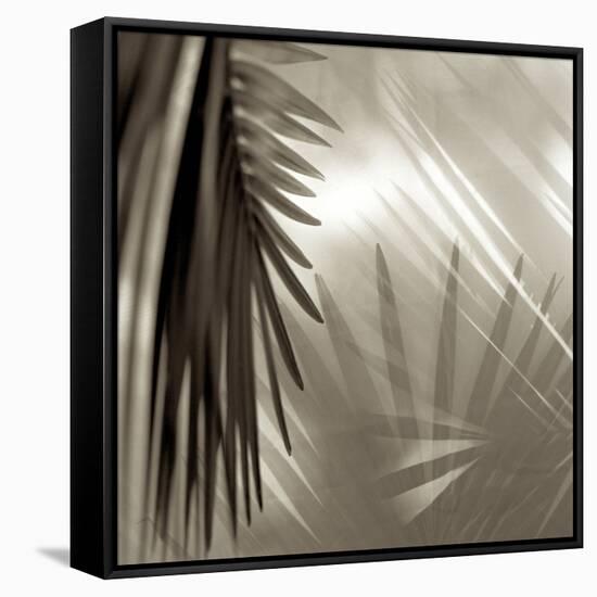 Florison 55-Alan Blaustein-Framed Stretched Canvas