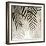 Florison 56-Alan Blaustein-Framed Photographic Print