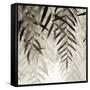 Florison 56-Alan Blaustein-Framed Stretched Canvas