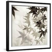 Florison 57-Alan Blaustein-Framed Premium Photographic Print