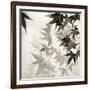 Florison 57-Alan Blaustein-Framed Photographic Print