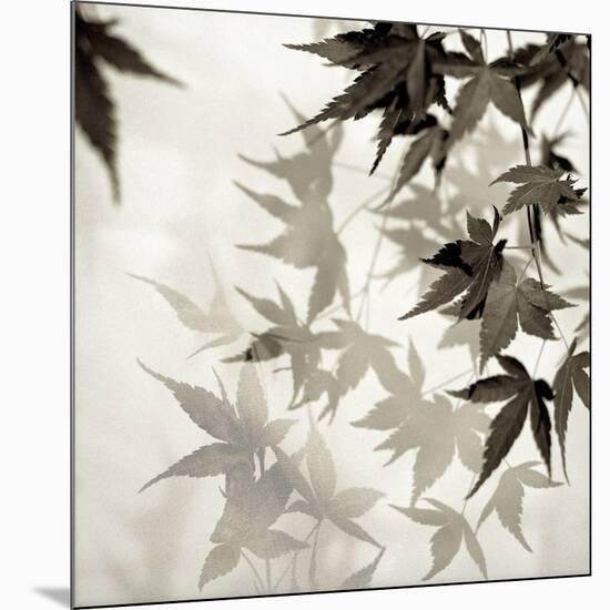 Florison 57-Alan Blaustein-Mounted Photographic Print