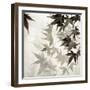 Florison 57-Alan Blaustein-Framed Photographic Print