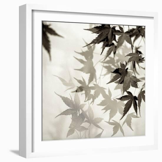 Florison 57-Alan Blaustein-Framed Photographic Print