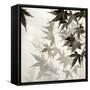 Florison 57-Alan Blaustein-Framed Stretched Canvas